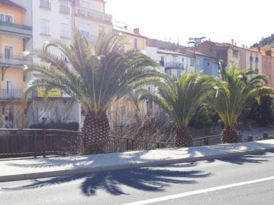 location pour curiste à Amélie-les-Bains photo 3 tbiz1840