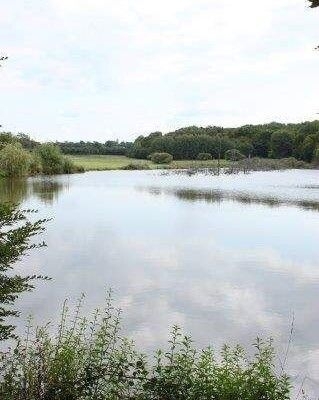 location pour curiste à Bourbon Lancy photo 0 tbiz2901