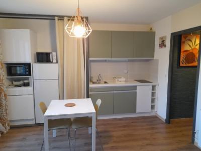 location pour curiste à Amélie-les-Bains photo 2 tbiz2990