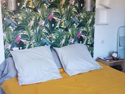 location pour curiste à Amélie-les-Bains photo 3 tbiz3564