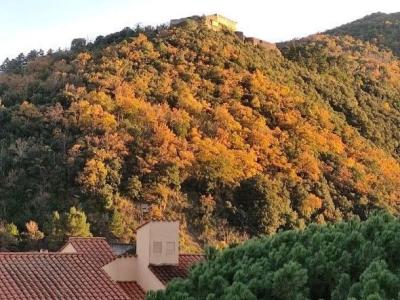 Photo T1 de 33m2 proche des thermes d’Amélie-les-bains 