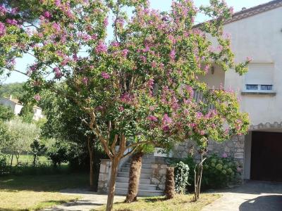 Photo Amélie les Bains / Le Boulou - appartement avec 2 chambres dans villa