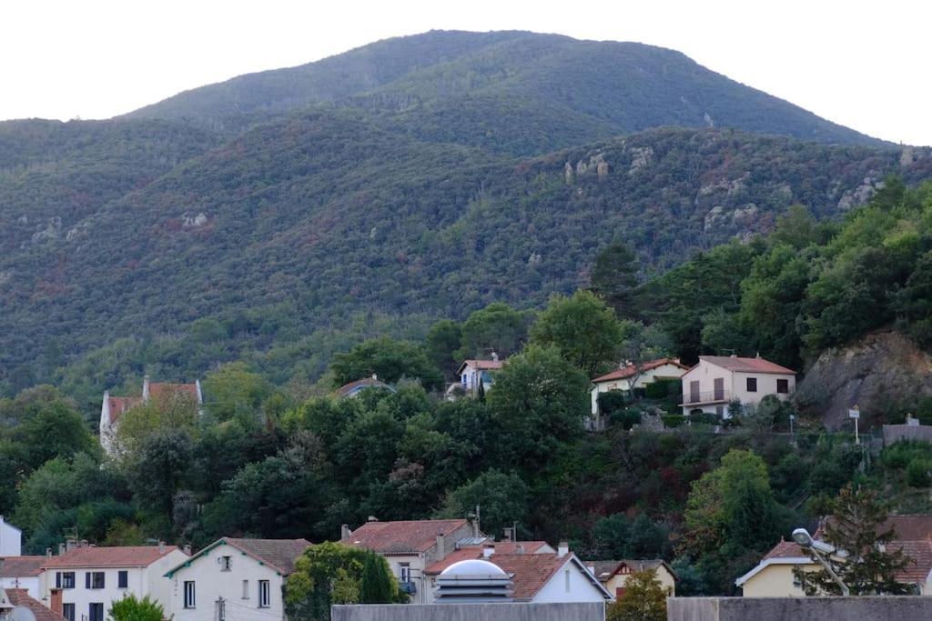 location pour curiste à Amélie-les-Bains photo 0 tbiz4276