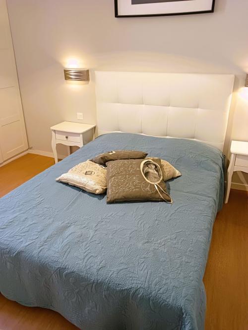 location pour curiste à Aulus-les-Bains photo 0 tbiz4298