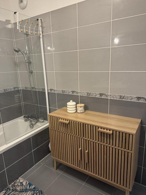 location pour curiste à Aix-les-Bains photo 0 tbiz4390