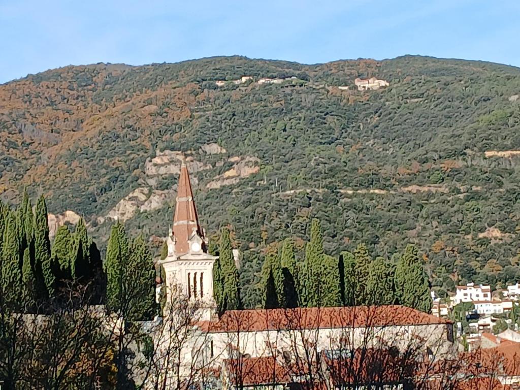 location pour curiste à Am&eacute;lie-les-Bains photo 0 tbiz4404