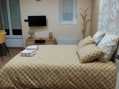 location pour curiste à Vittel photo 1 tbiz4421