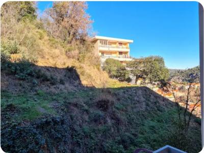 location pour curiste à Am&eacute;lie-les-Bains photo 2 tbiz4446