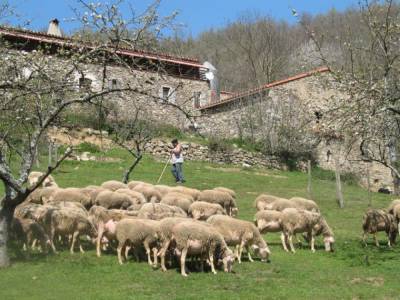 location pour curiste à Amélie-les-Bains photo 3 tbiz514